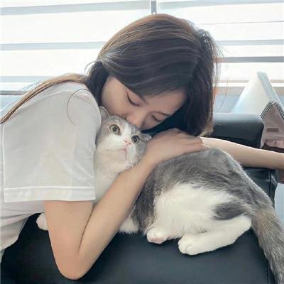 硬汉龙虎斗