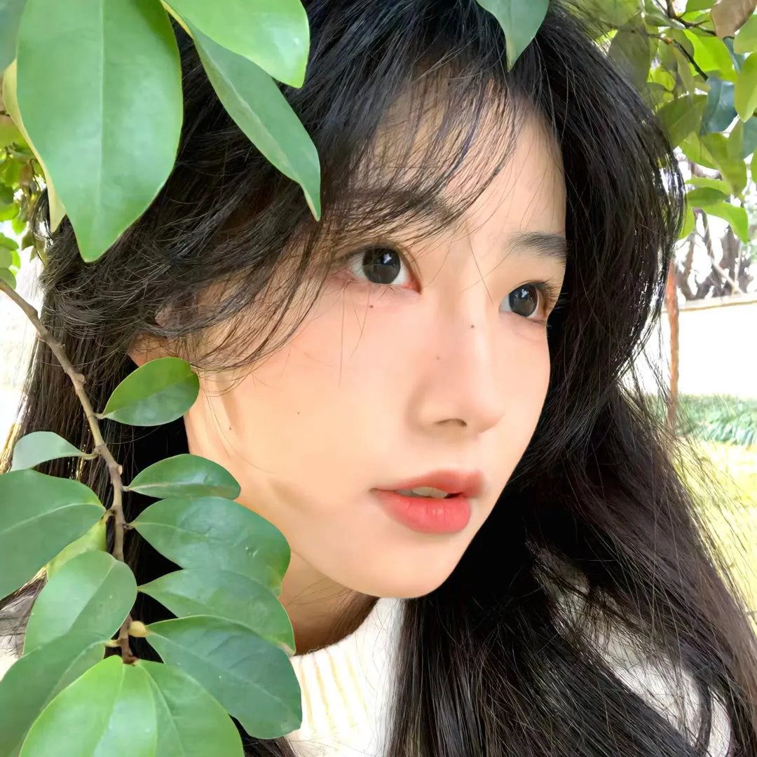 椿之庭